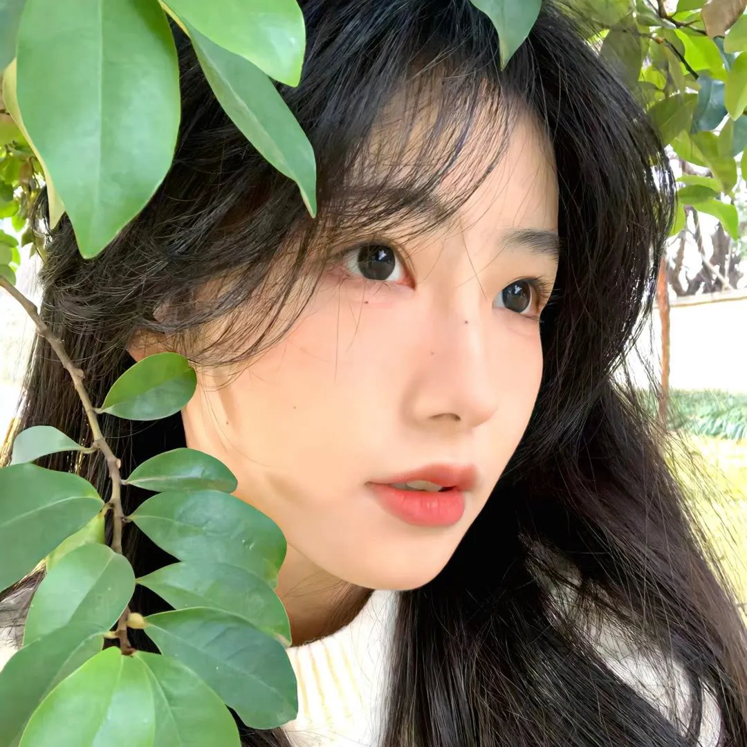 美丽的塔